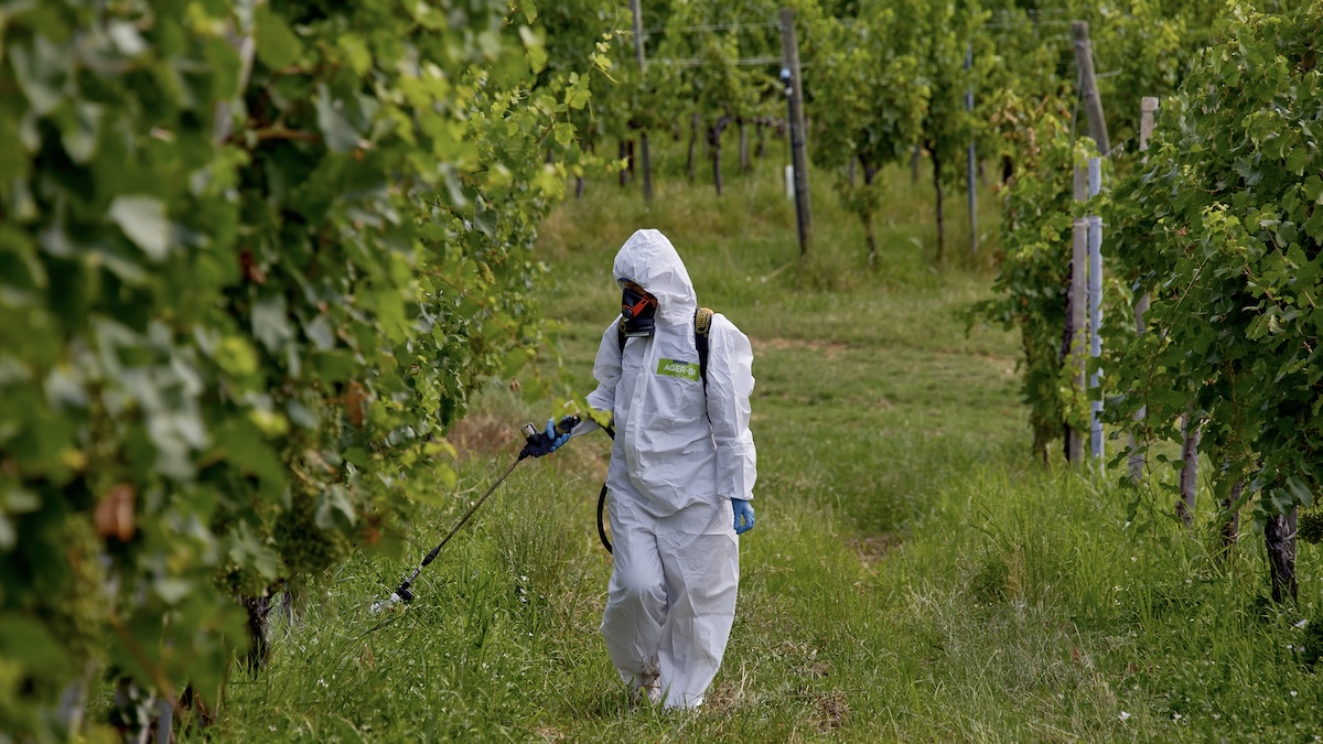 Ager-Bi Applicazione in Campo (16).jpg